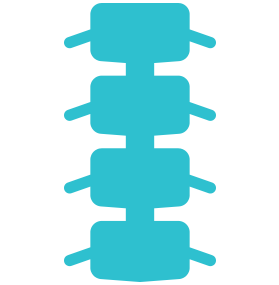 Spinal cord injuries